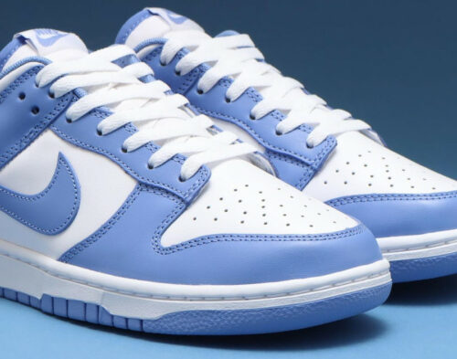 Polar Blue Nike Dunk Low Retro Bleu Polaire BTTYS DV0833 400