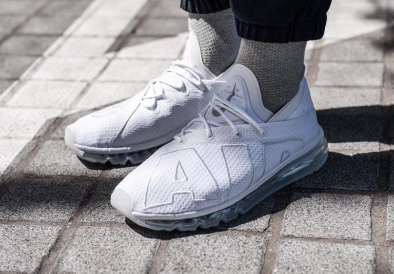 Chaussure Nike Air Max Flair Blanche White Platinum