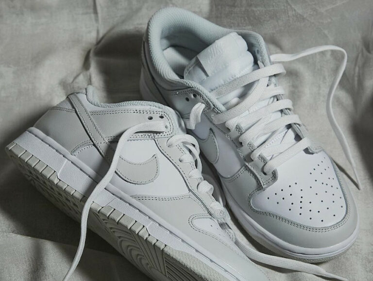 Nike Wmns Dunk Low 2021 Grise Photon Dust (couv)