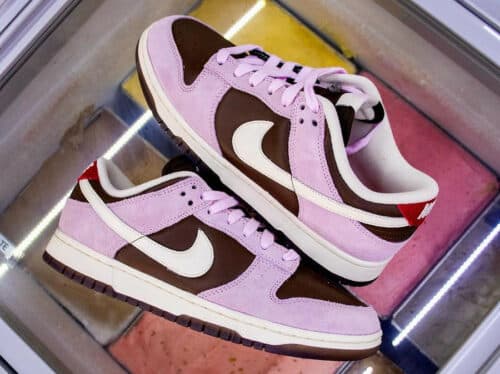 Nike Dunk Low Neapolitan HM0987-200 (3)