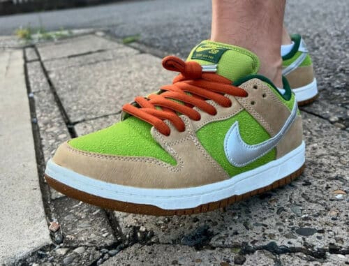 Nike SB Dunk Low Pro Escargot on feet FQ7585-200 (1)