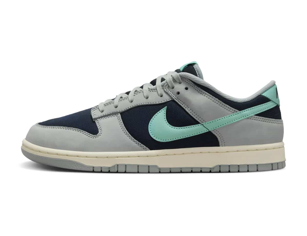 Date de sortie Nike Dunk Low Light Pumice and Dark Obsidian FB8895-001