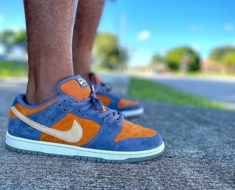 Nike SB Dunk Low Pro grise orange Light Carbon and Monarch HF3063-002 (4)