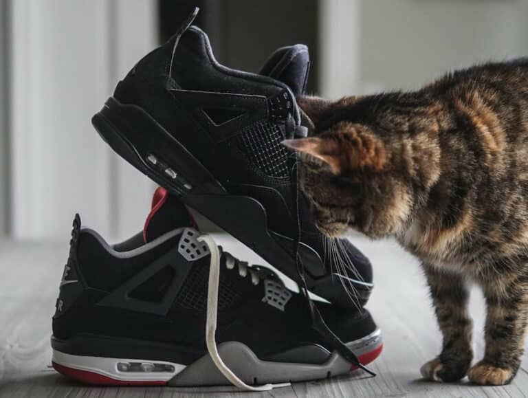 Air Jordan Black Cat