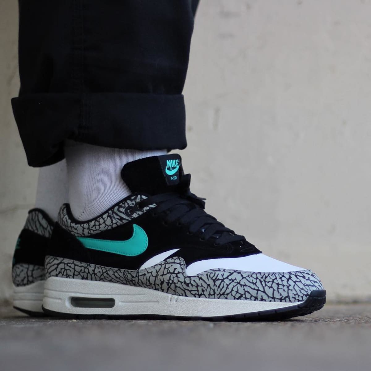 Nike Air Max 1 Atmos Elephant 2007 312748-031 (1)