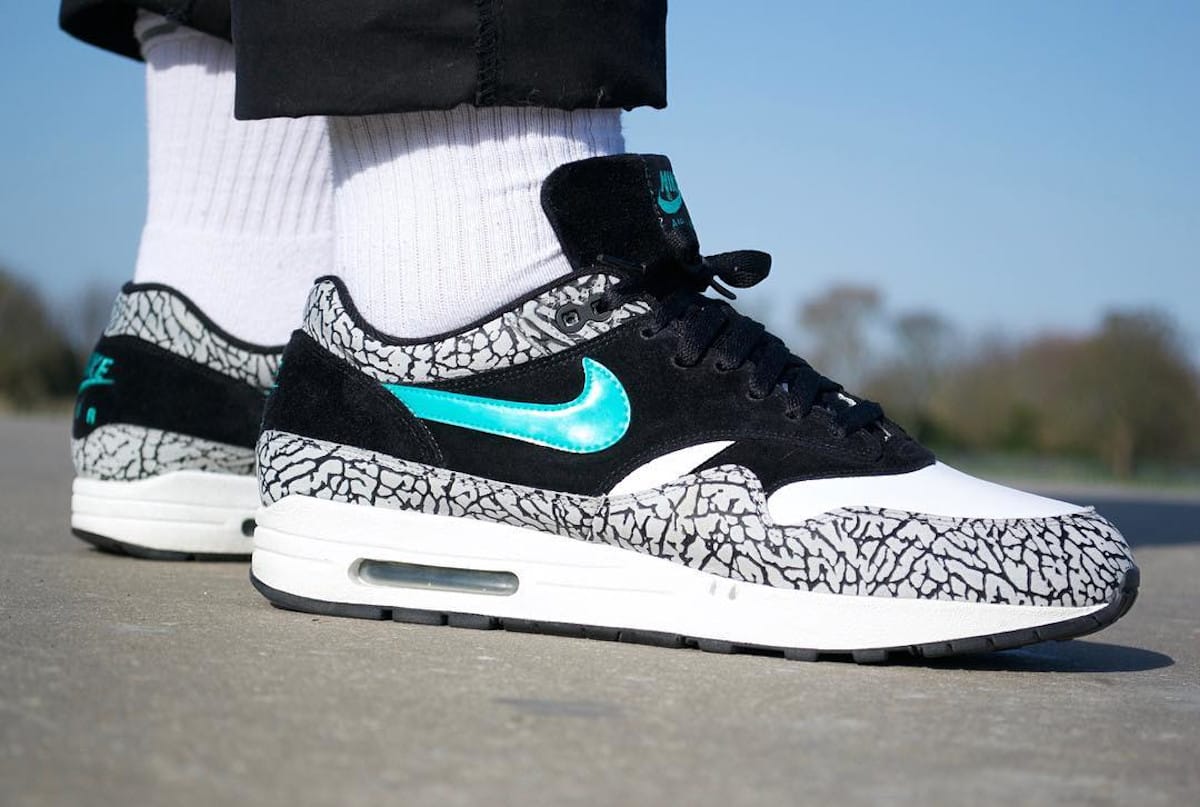 Nike Air Max 1 Atmos Elephant 2007 312748-031