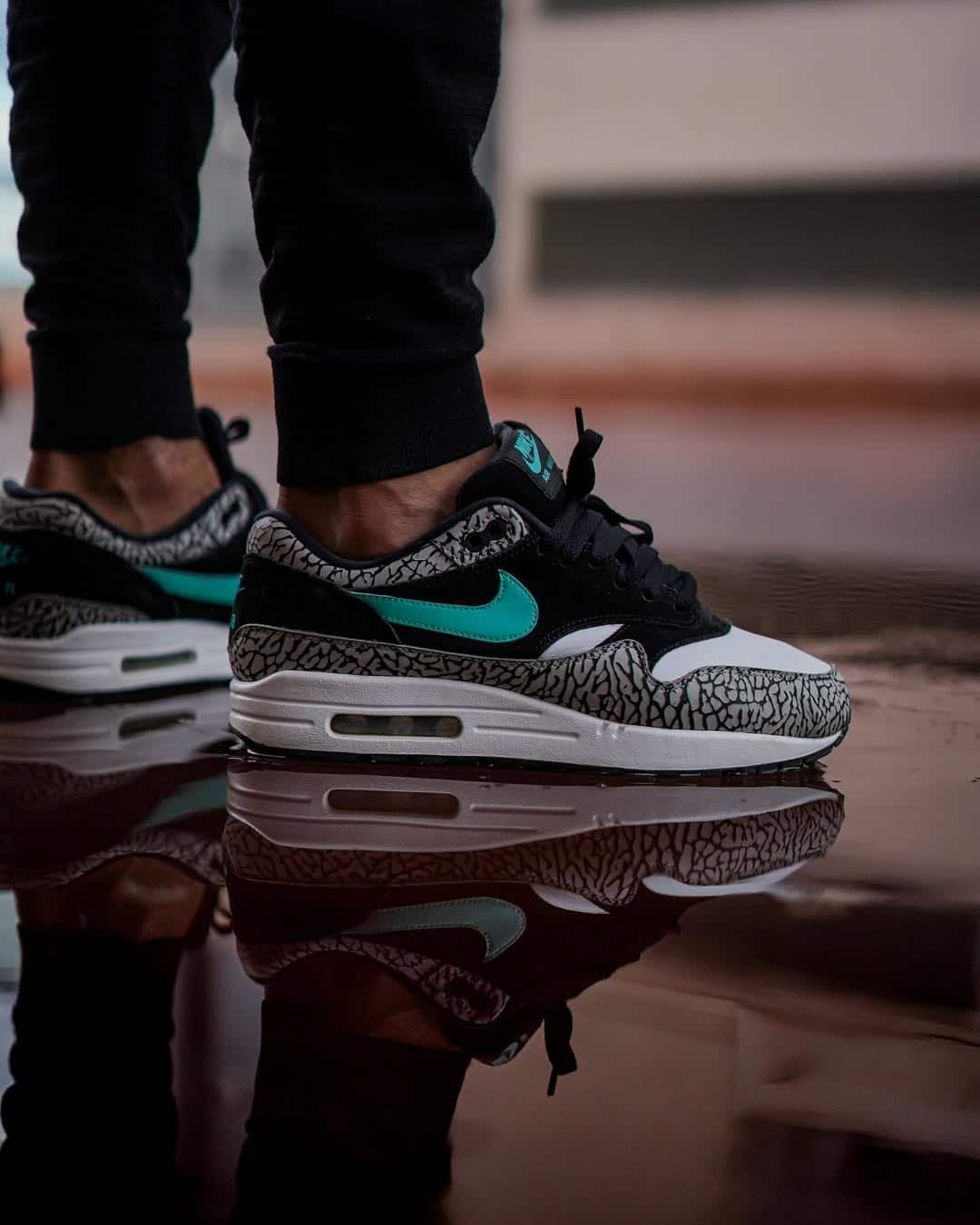 Nike Air Max 1 Atmos Elephant 2007 @sneakhamddict