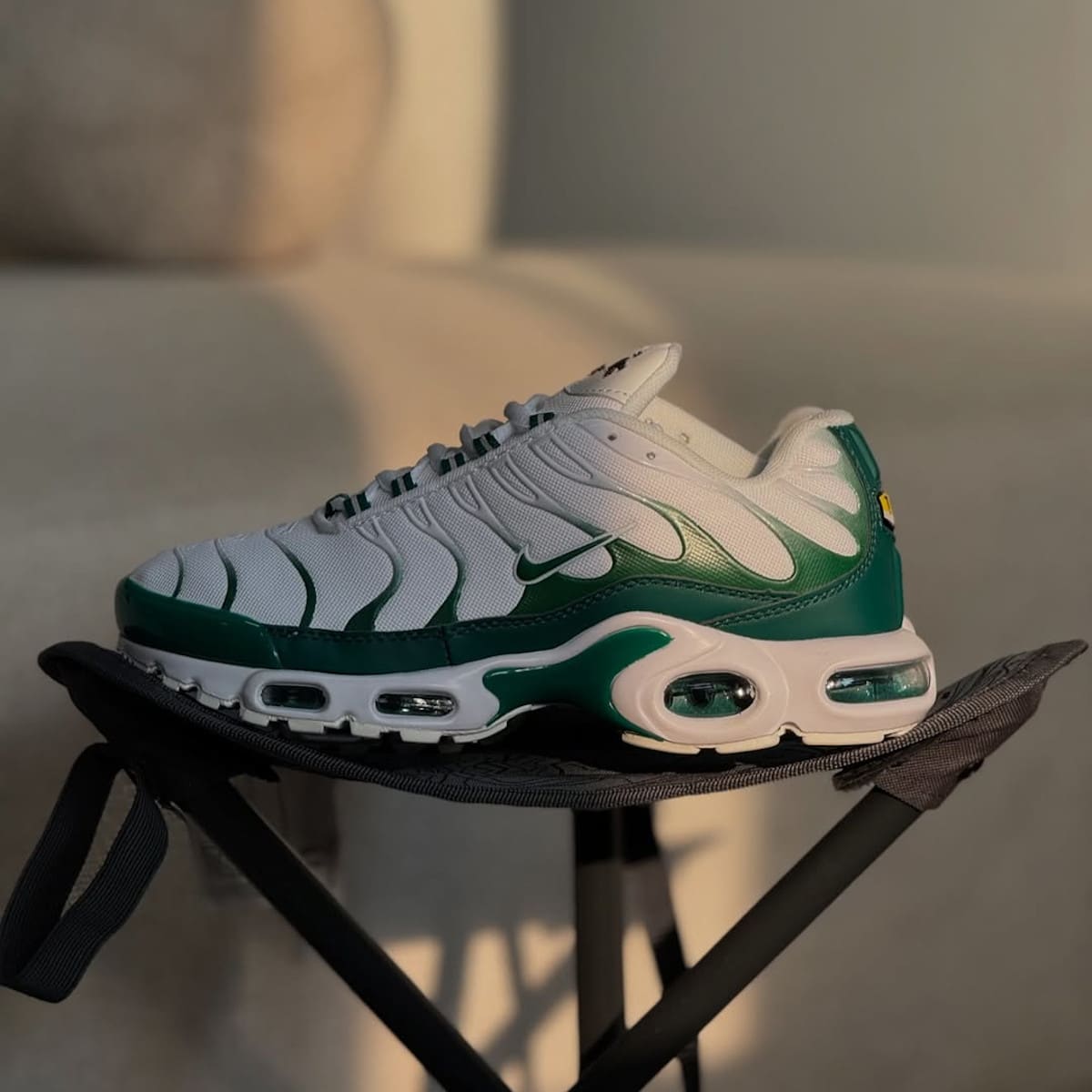 Nike TN Lacoste (2)