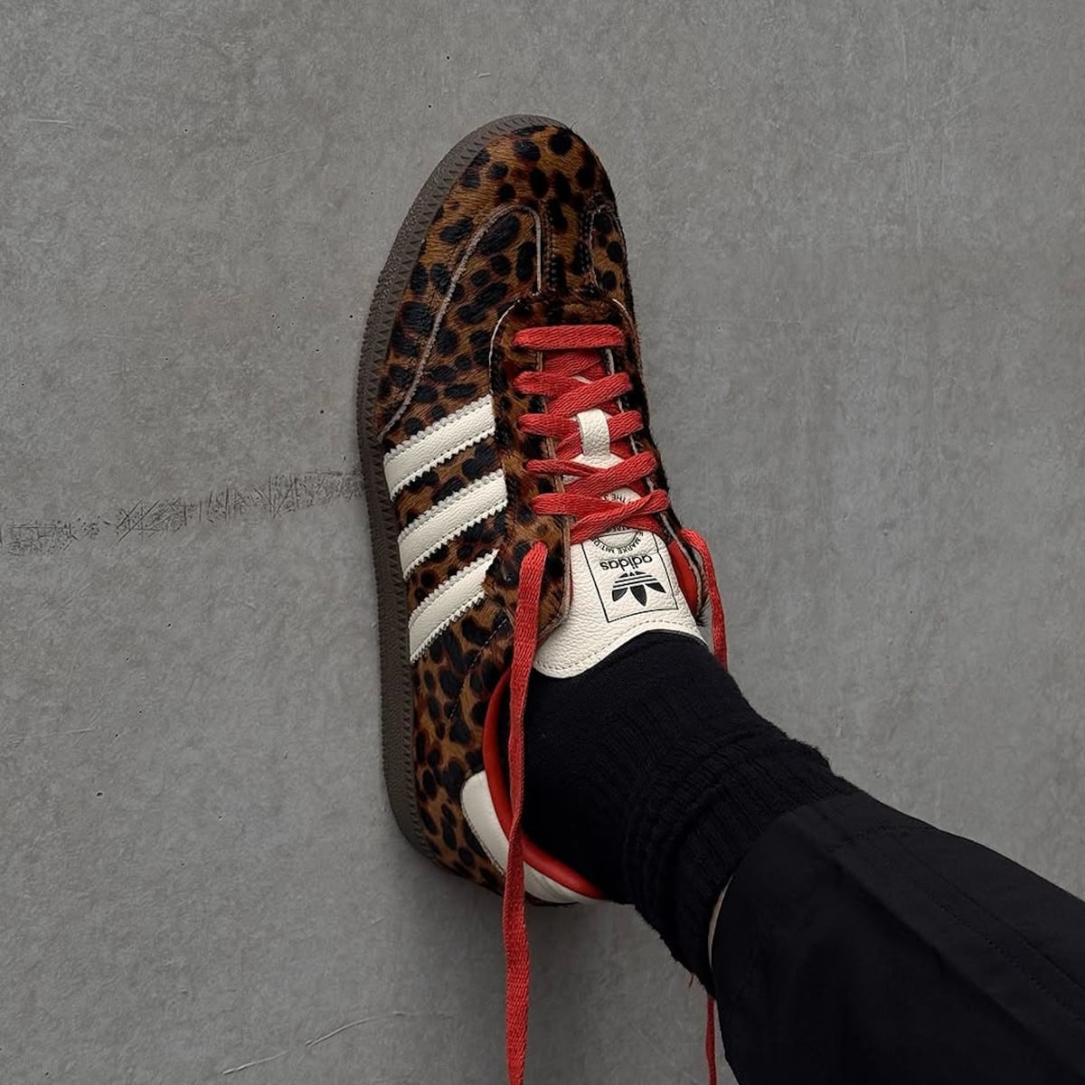 adidas Samba Leopard Preloved Red on feet JI2734