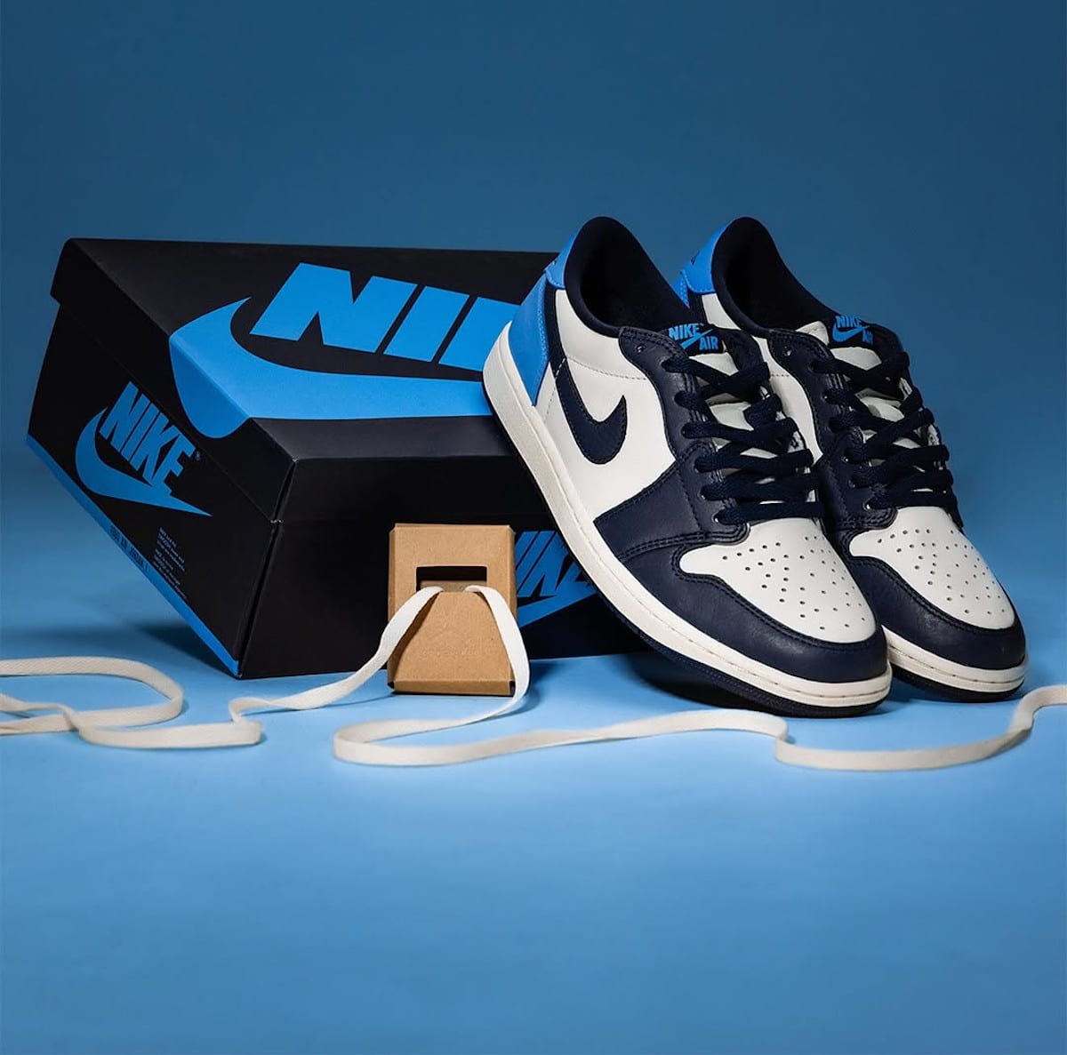 Air Jordan 1 retro Low OG obsidienne CZ0790-400 (2)